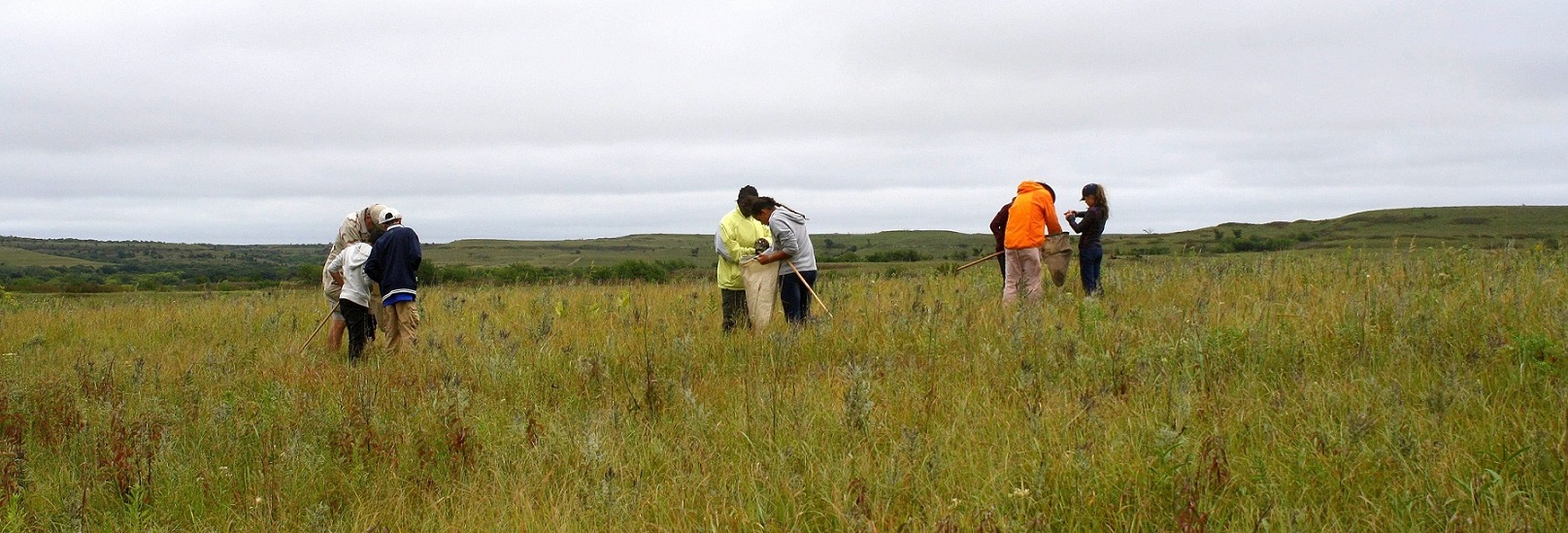 Children Catching Grasshoppers