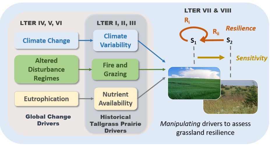 conceptual framework